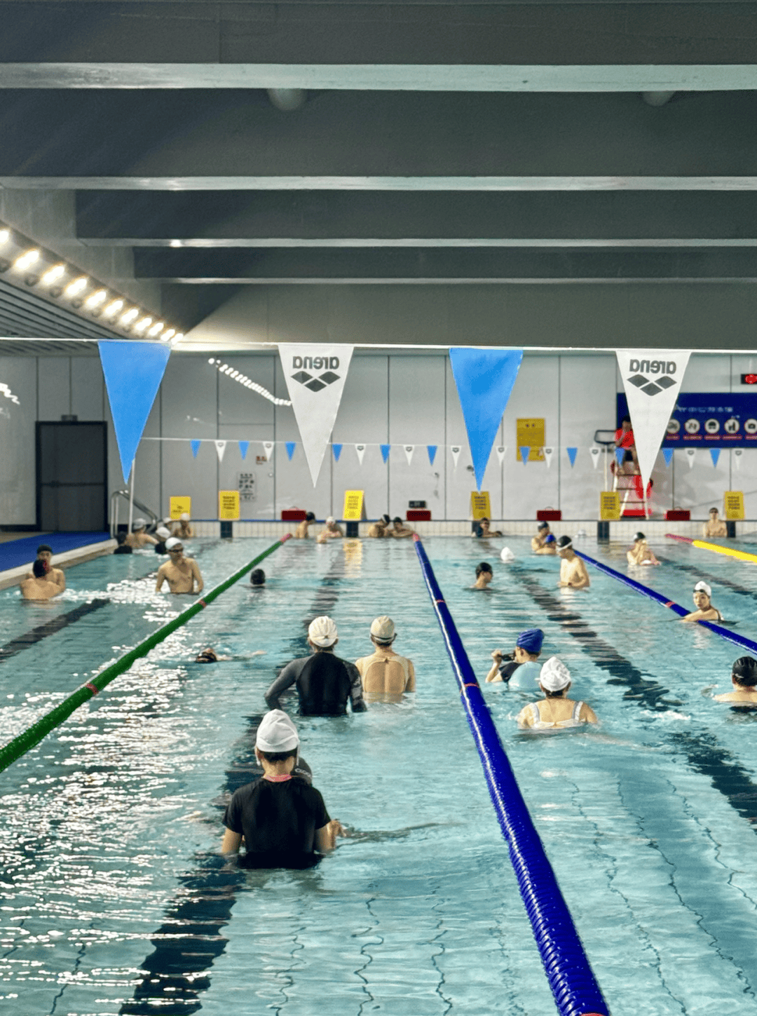 游泳热度飙升，网友热议不断