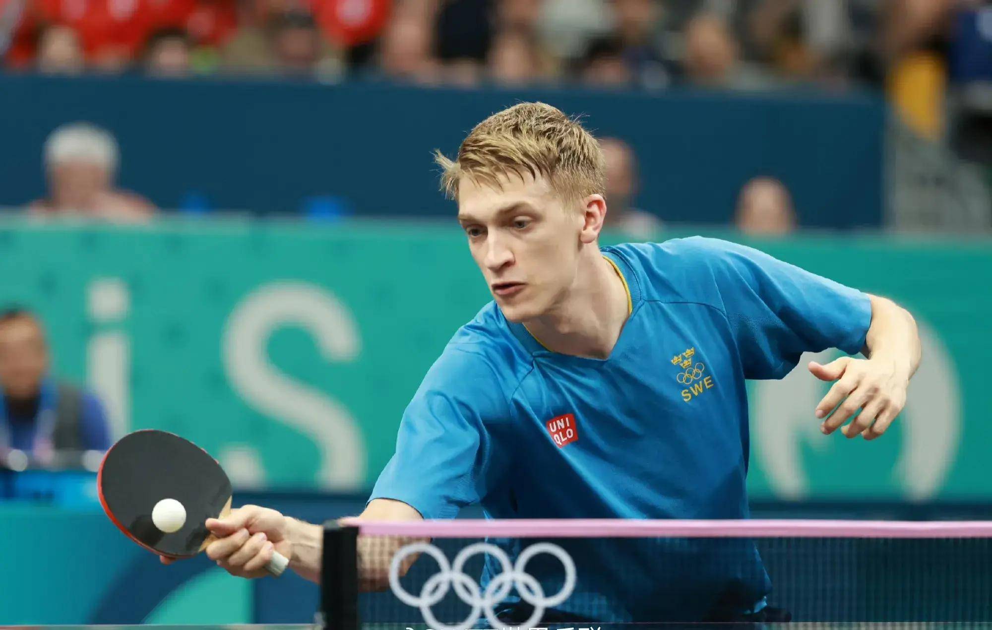 日本队逆转法国队,李梓嘉带队取胜 日本队逆转法国队,李梓嘉带队取胜