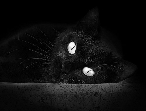 鏖战绿茵场与统治乒乓球台，当葡萄牙遇上韩国，当梁靖崑掌握全场