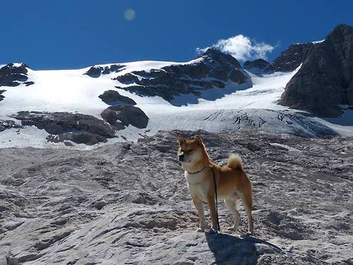 风暴眼与扛旗者，西亚卡姆独舞之夜，天津攻防碾压山西