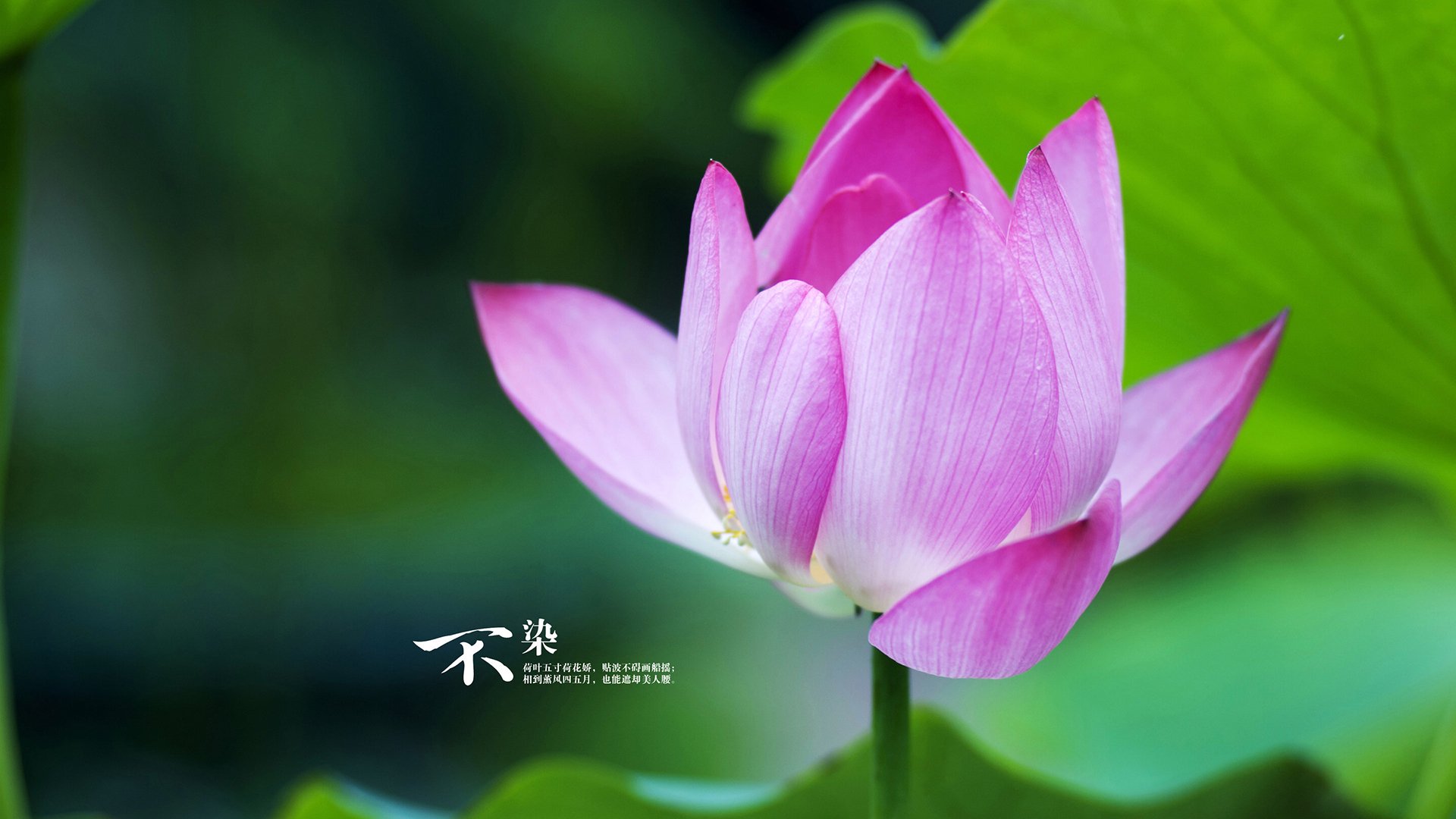 从墨尔本到都灵，最冷酷的碾压，与一场精心策划的年终复仇