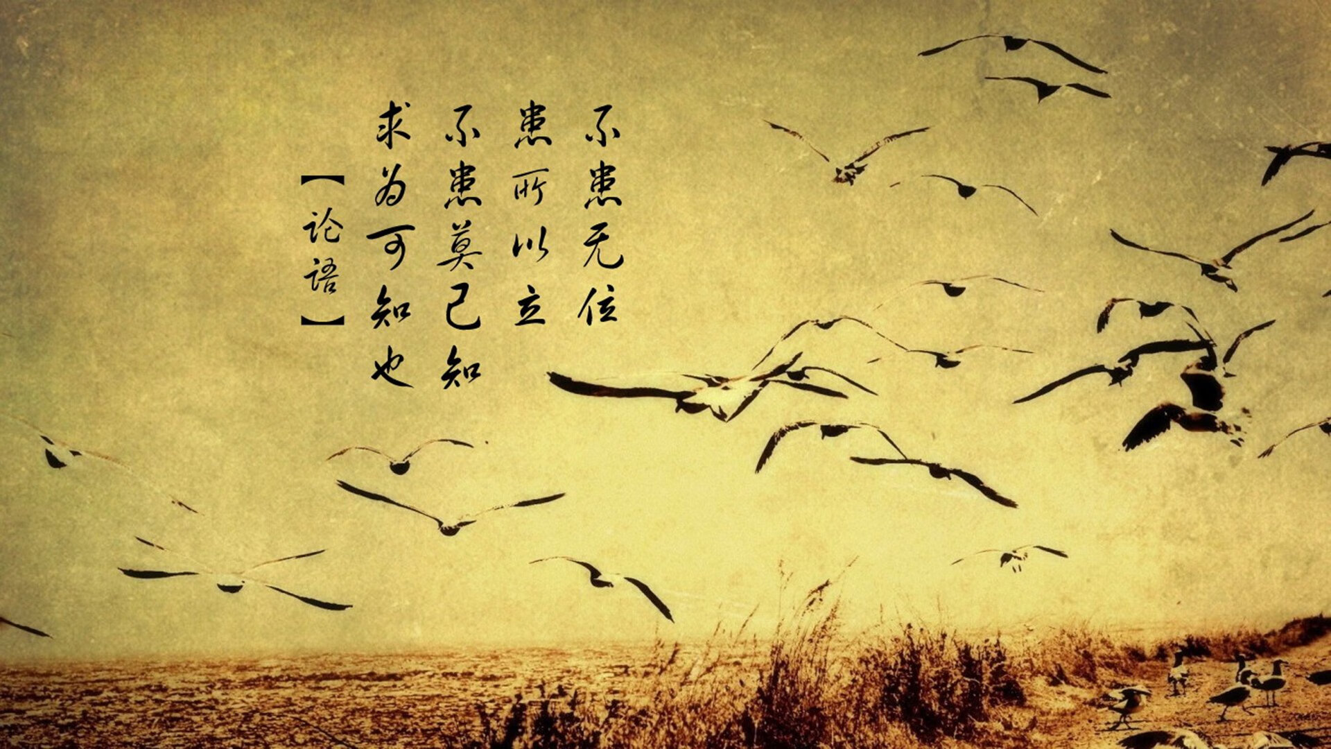 唯一性的诠释，太阳队爆冷北京队，米切尔关键先生铸就经典