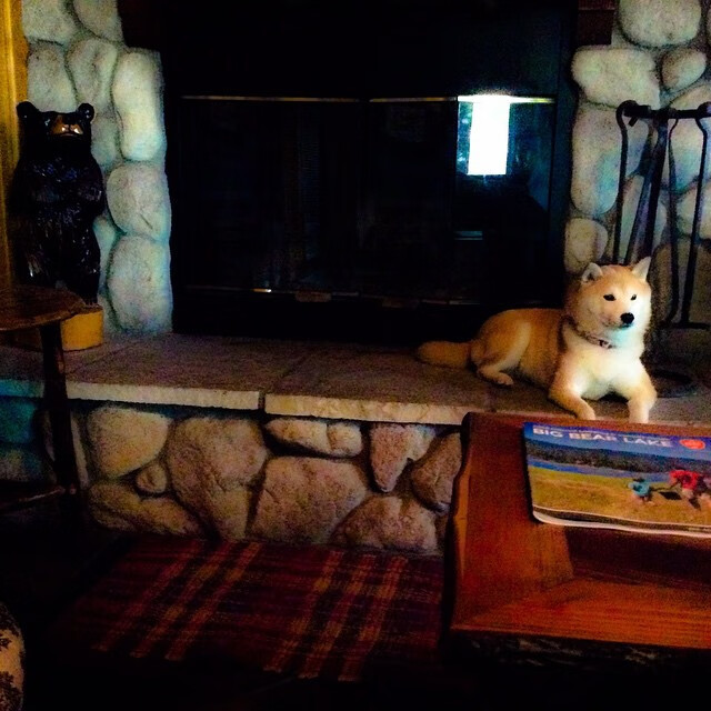 双线作战的隐喻,当浙江队击败老鹰,约基奇在丹佛完成隔空对话