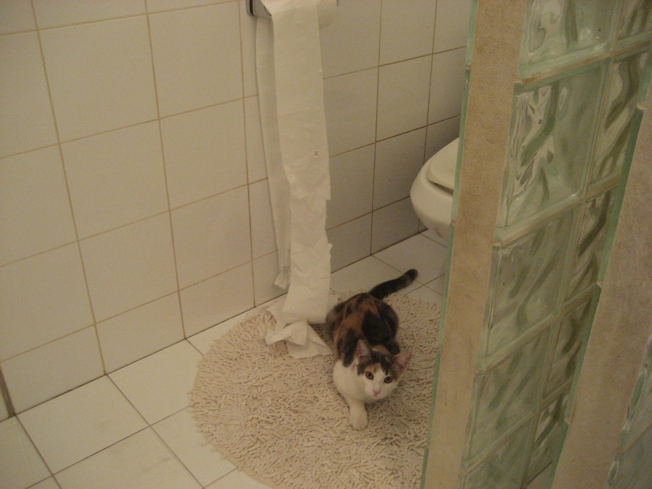 冰与火之歌,英格拉姆生涯之夜,点燃深浙对决的硝烟战场