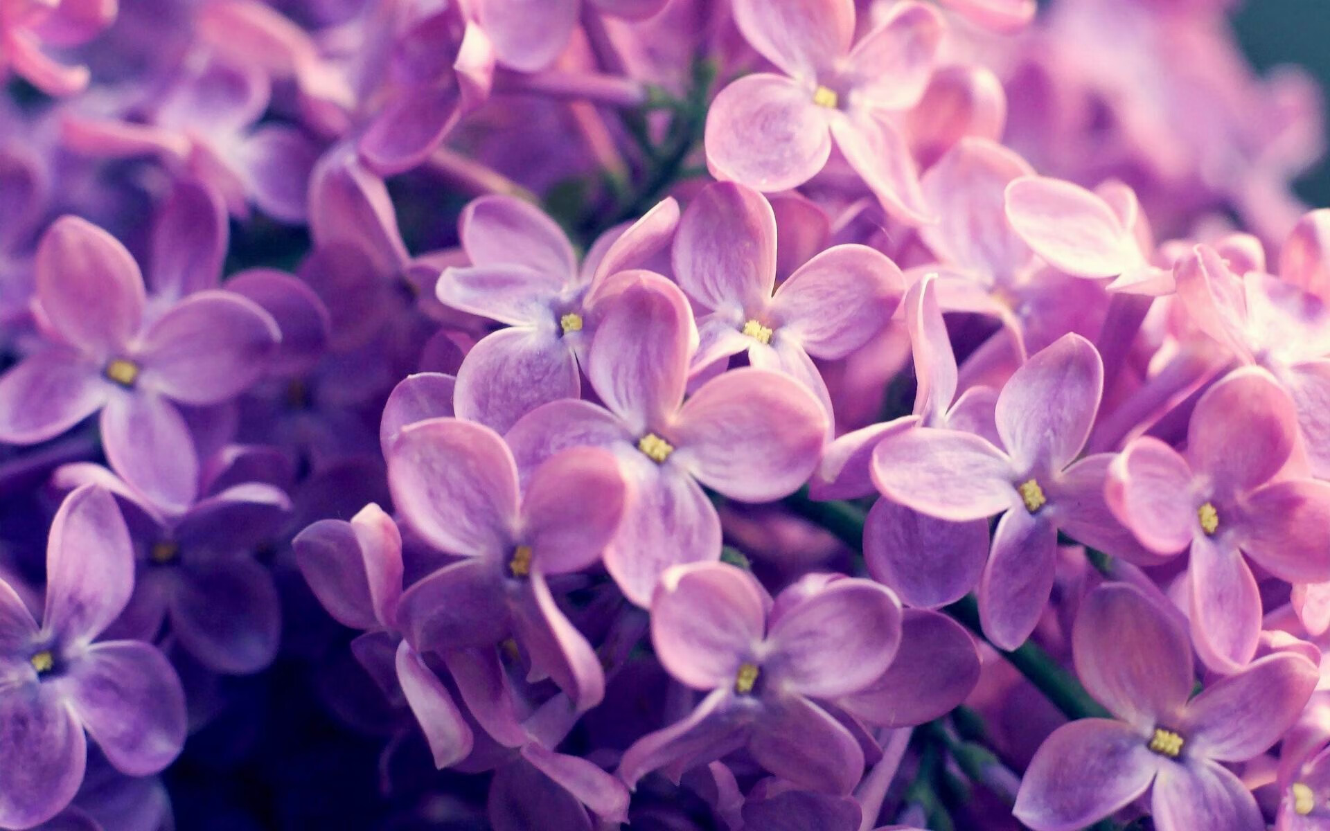 当布克让比赛提前失去悬念时,奇才强行终结活塞的隐喻