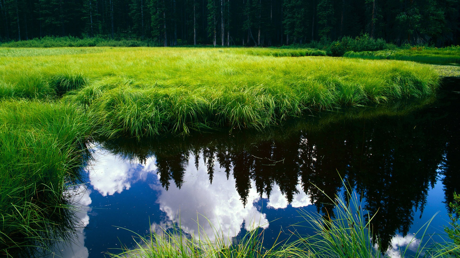 死亡小组的乌克兰铁幕,切尔西小将帕尔默如何在末节撕裂马德里竞技