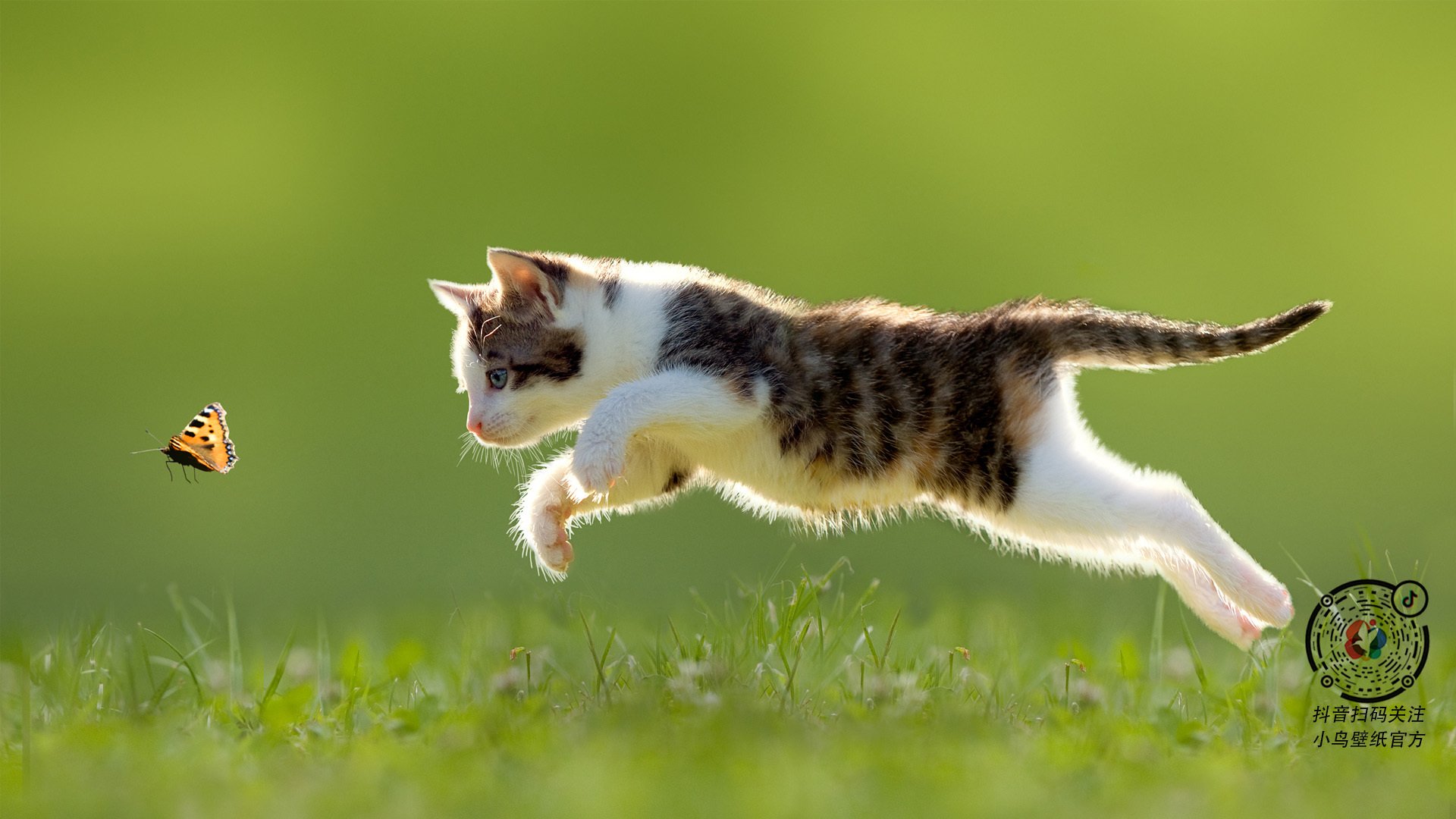 球场中心的引力场，赖斯让瑞典超越胜利