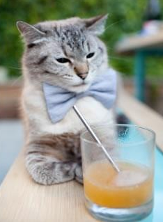 轰鸣与呐喊,两大赛场书写新篇章